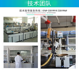 專業服務護航，技術服務賦能企業數字化轉型